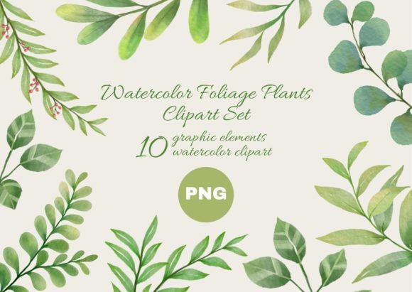 Download Watercolor Foliage Plants Clipart Set - Premium Resources